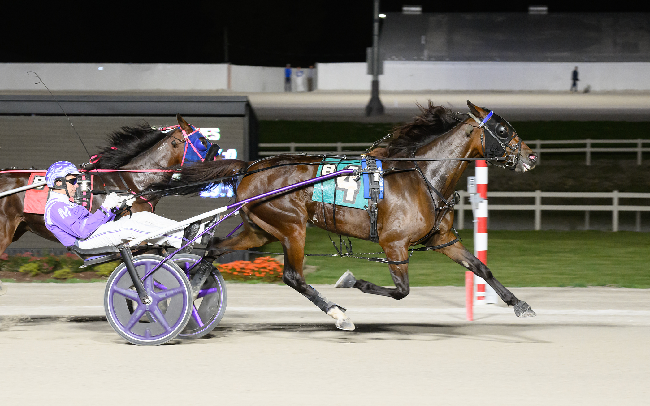 Volstead filly named 2024 Ohio Horse of the Year