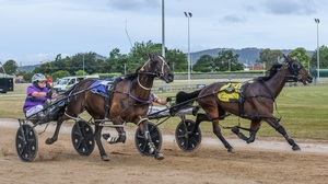 Langley stable takes out Scottsdale feature