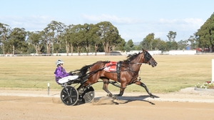 Track record win for Magnetic Terror