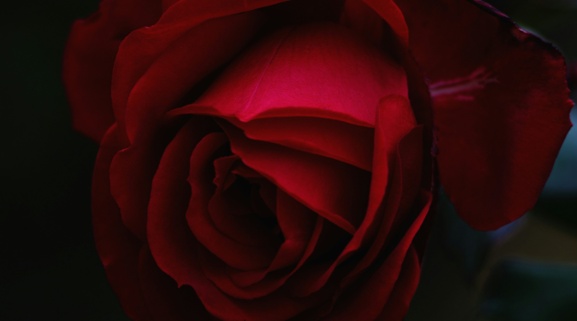 Vale Charlie Chircop