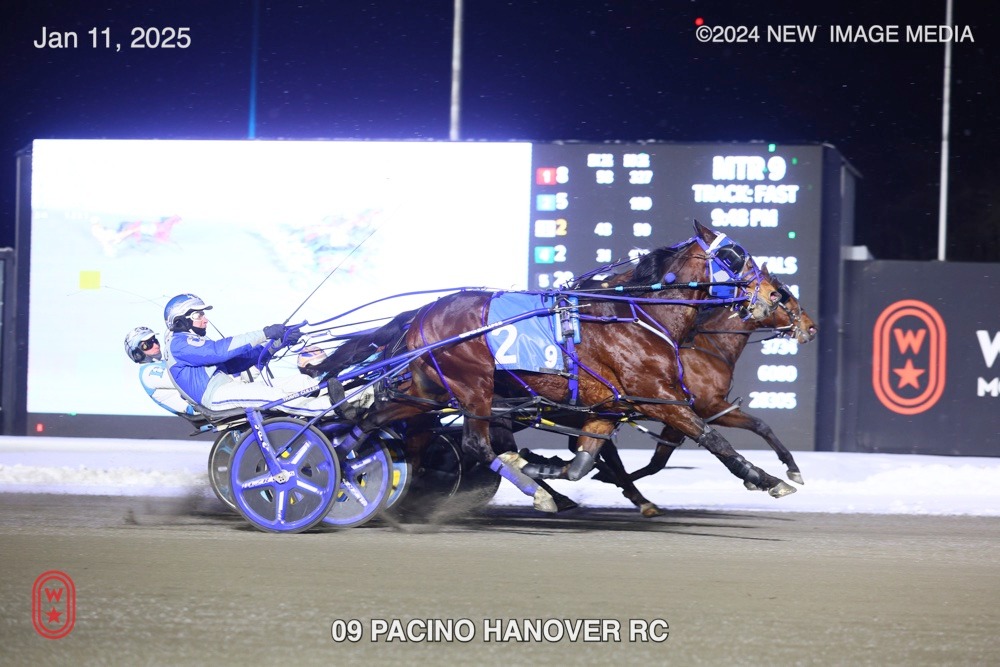 Pacino Hanover has his day