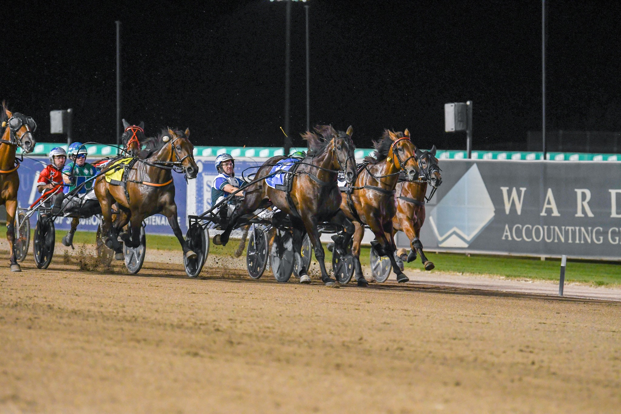 Constantinople prevails in thrilling trotters FFA