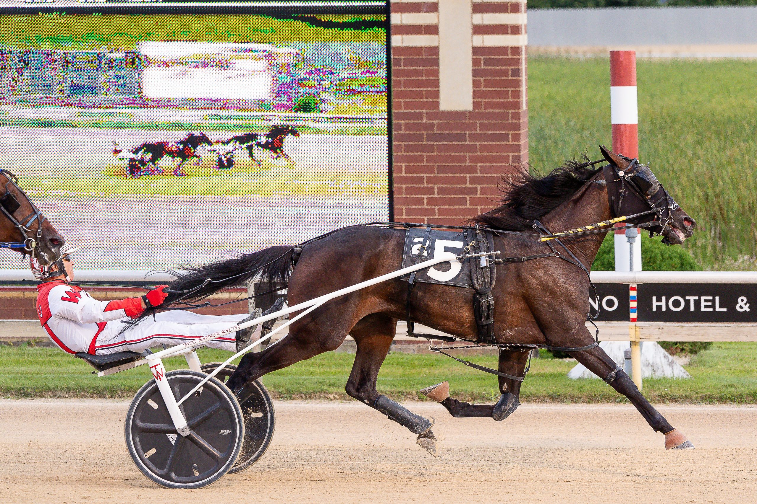 2024 Minnesota sophomore award winners announced