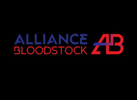 Alliance Bloodstock launches with first Lexington yearling consignment
