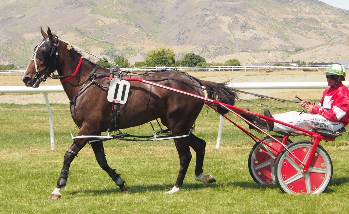 Always A Menace continues the Brinsdon legacy