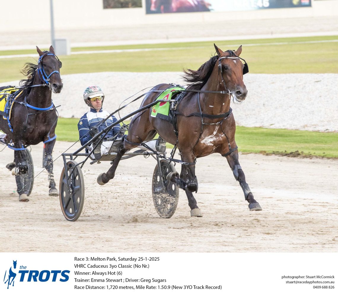 Weekly Spotlight on Breeding column and photos