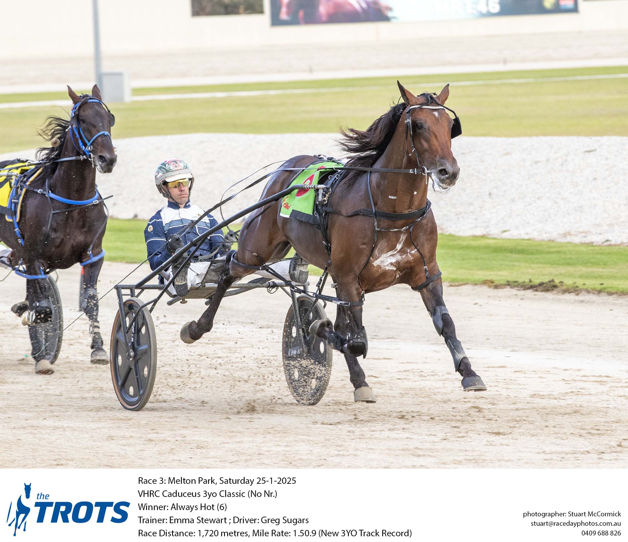 Weekly Spotlight on Breeding column and photos