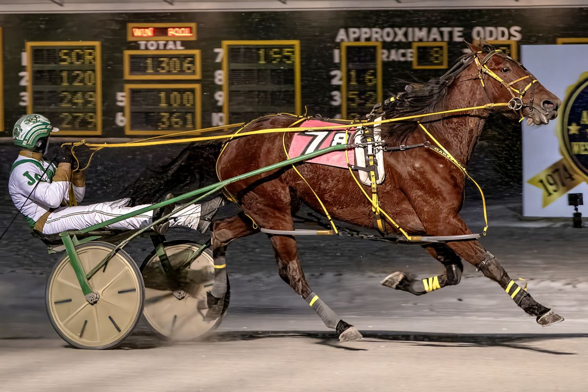 Batavia mares Ambushed in distaff Open