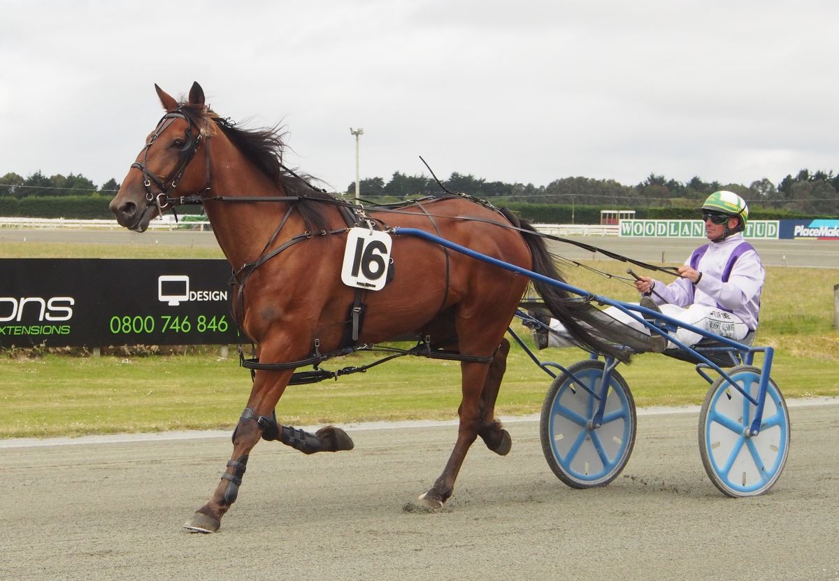 Kelly gets first winner