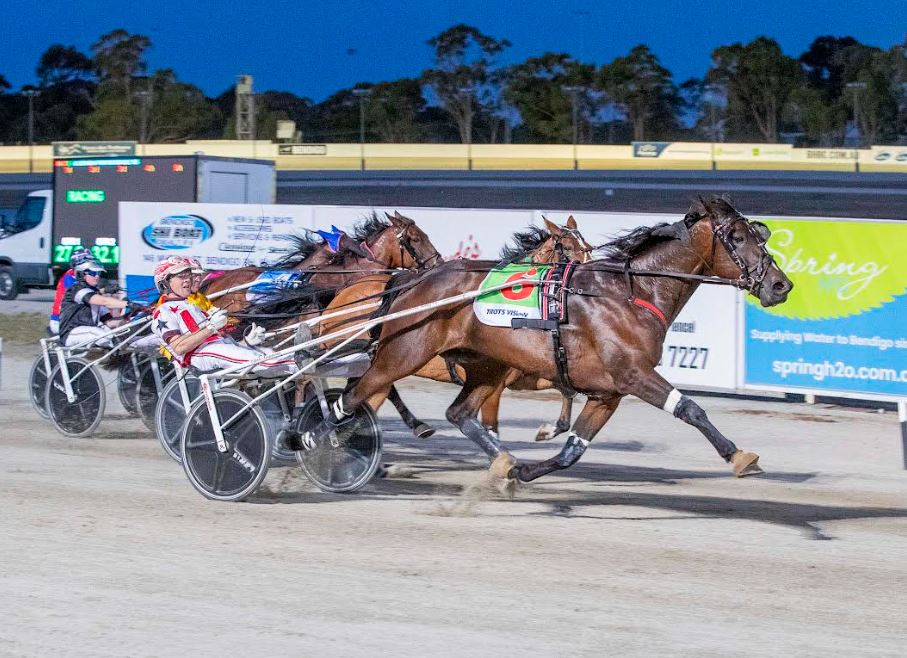 Arcee Phoenix gains another shot at $NZ600,000 TAB Trot