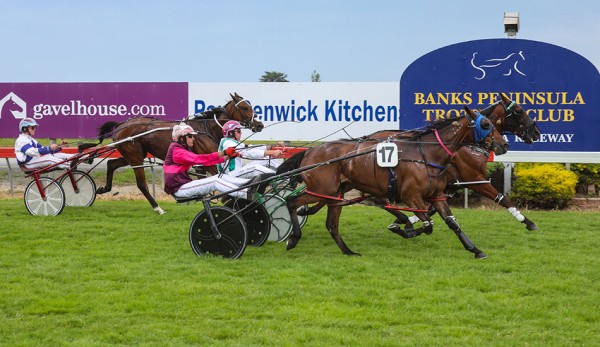 Bettor Be Sharp going for three in a row