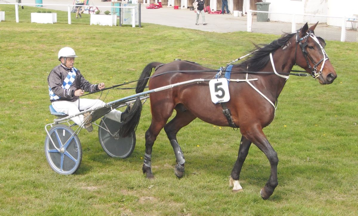 Phil and Steve talk Forbury Park