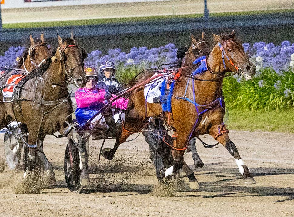 Bulletproof Boy all set for Cranbourne return