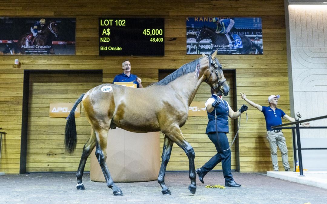 Increases in APG Trotting Series Announced