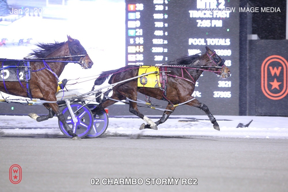 Five straight for seven-year-old mare