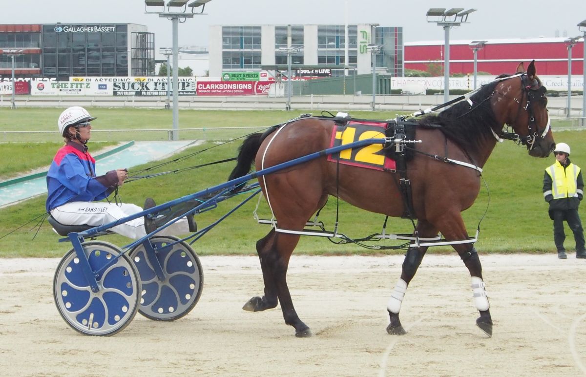 Command performance by White runner