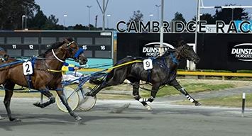 Doo You Want Me on path to Northern Derby