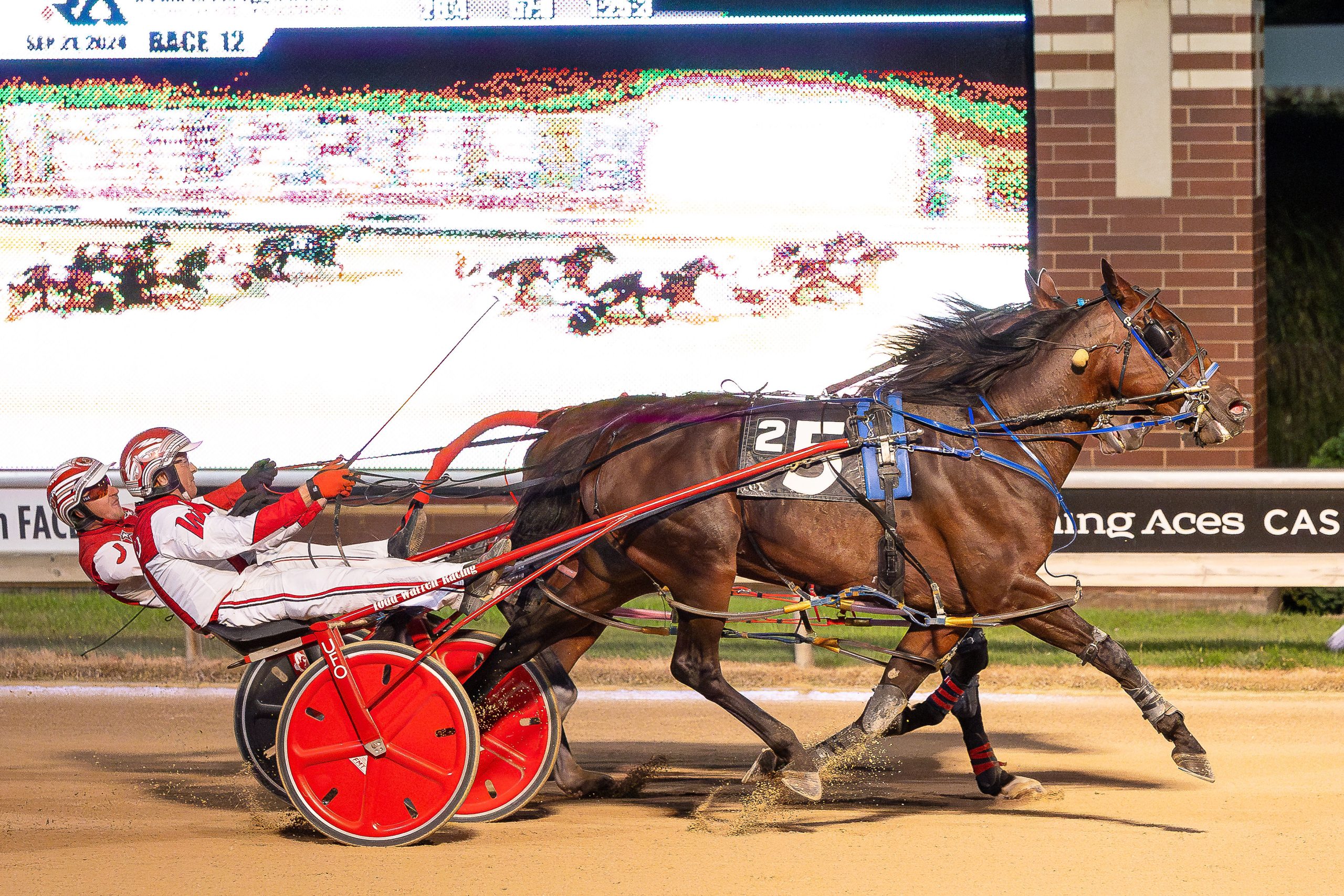 Minnesota’s aged pacing award winners announced