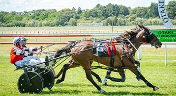 Back to back wins for Auckland Reactor gelding