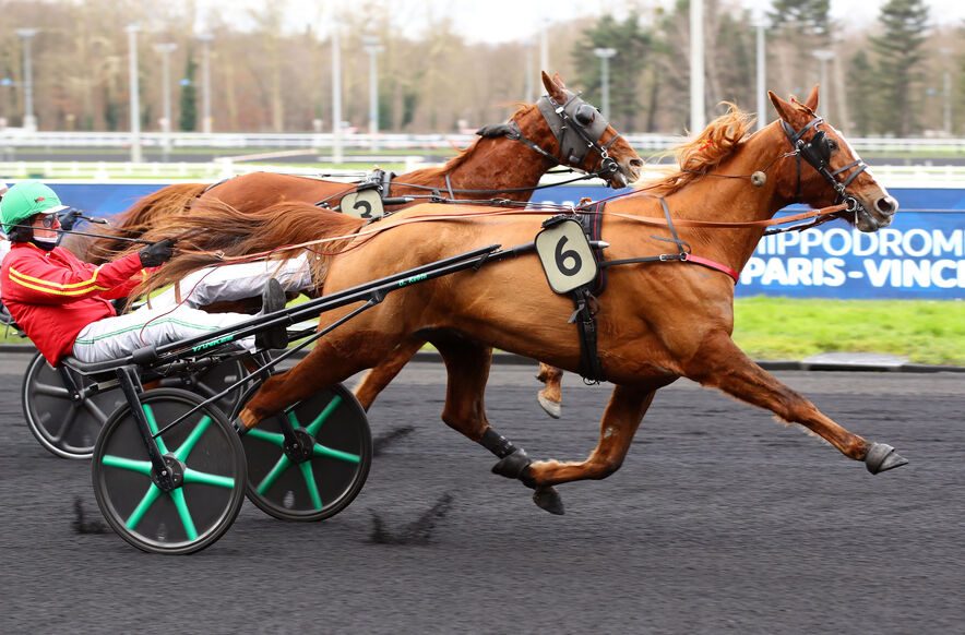 Great Tigress roars at Vincennes
