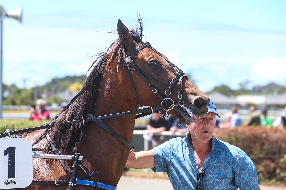 Ha’penny earns local dollars