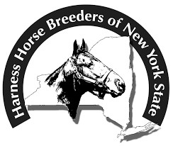 Stallion breeding raffle underway in New York