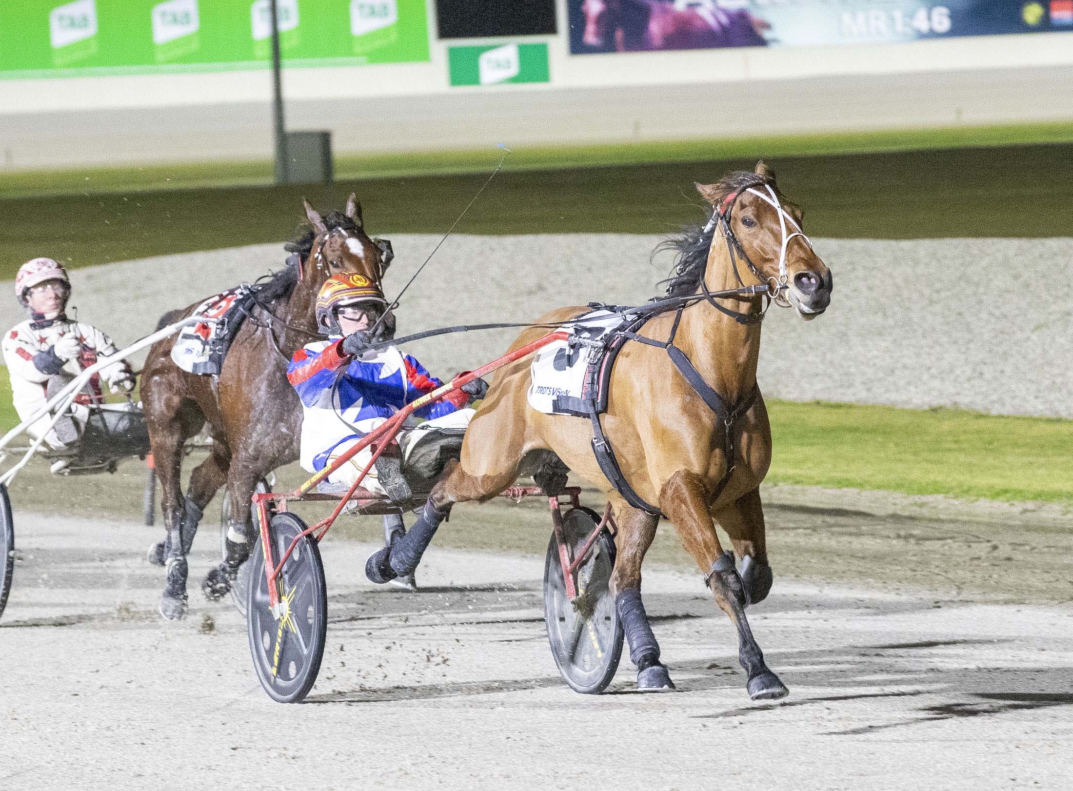 Harry Stamper to miss the Great Southern Star