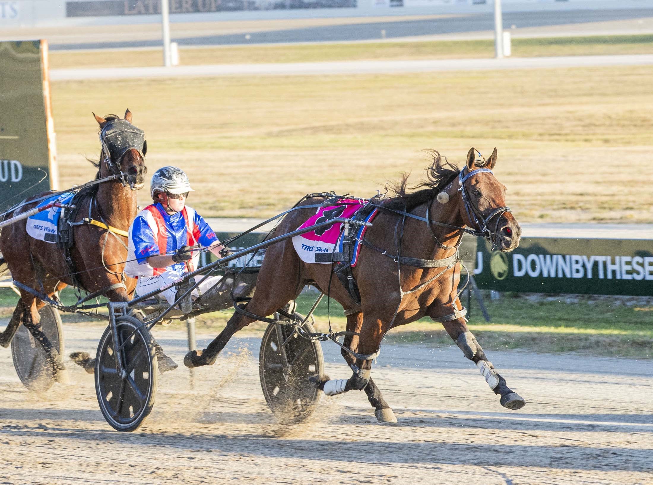 Wedderburn Cup next target for Harryhoo