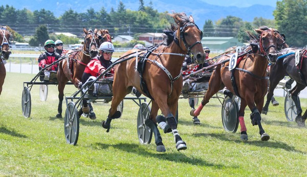 Two more qualifiers for $30,000 Trotters Series