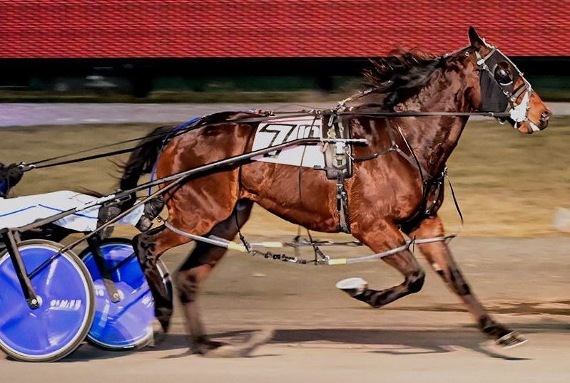 Foster kicks off Rosecroft season with grand slam