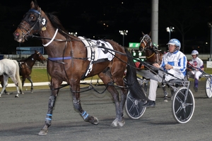 Captain Hammerhead disqualified in Shepparton Gold Cup
