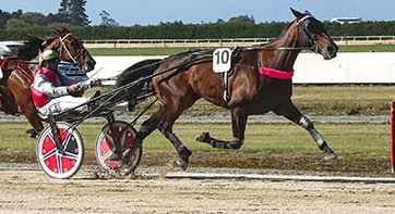 Bargain buy delivers again