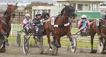 More trotters through to $30,000 Seddon Districts Final