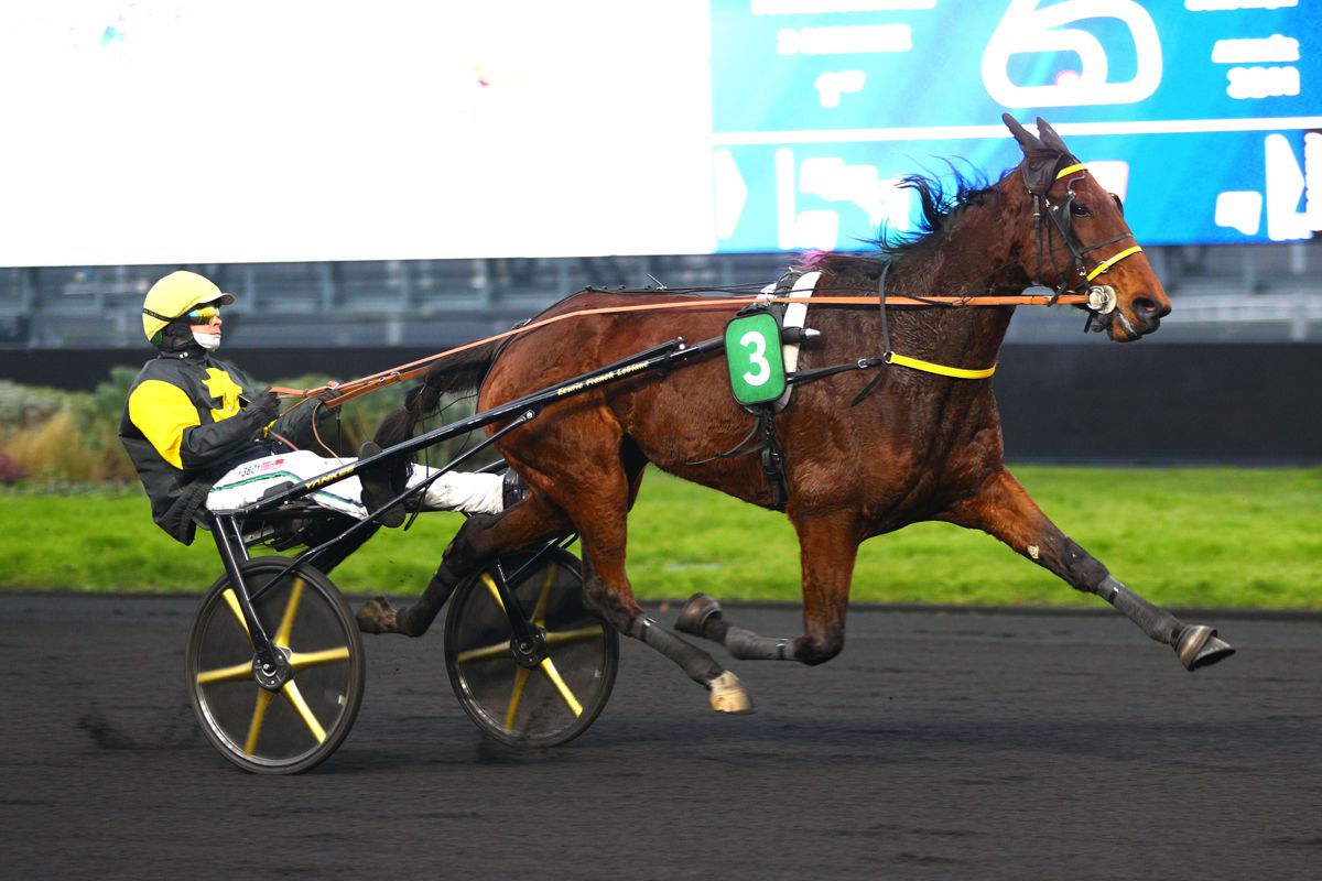 Ludivine wins Prix d’Argences at Vincennes