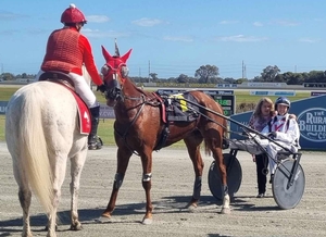 Luvaflair is all class in Trotters sprint