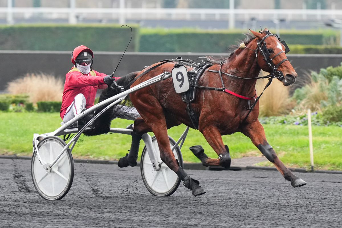 Make Your Day Scores at Vincennes