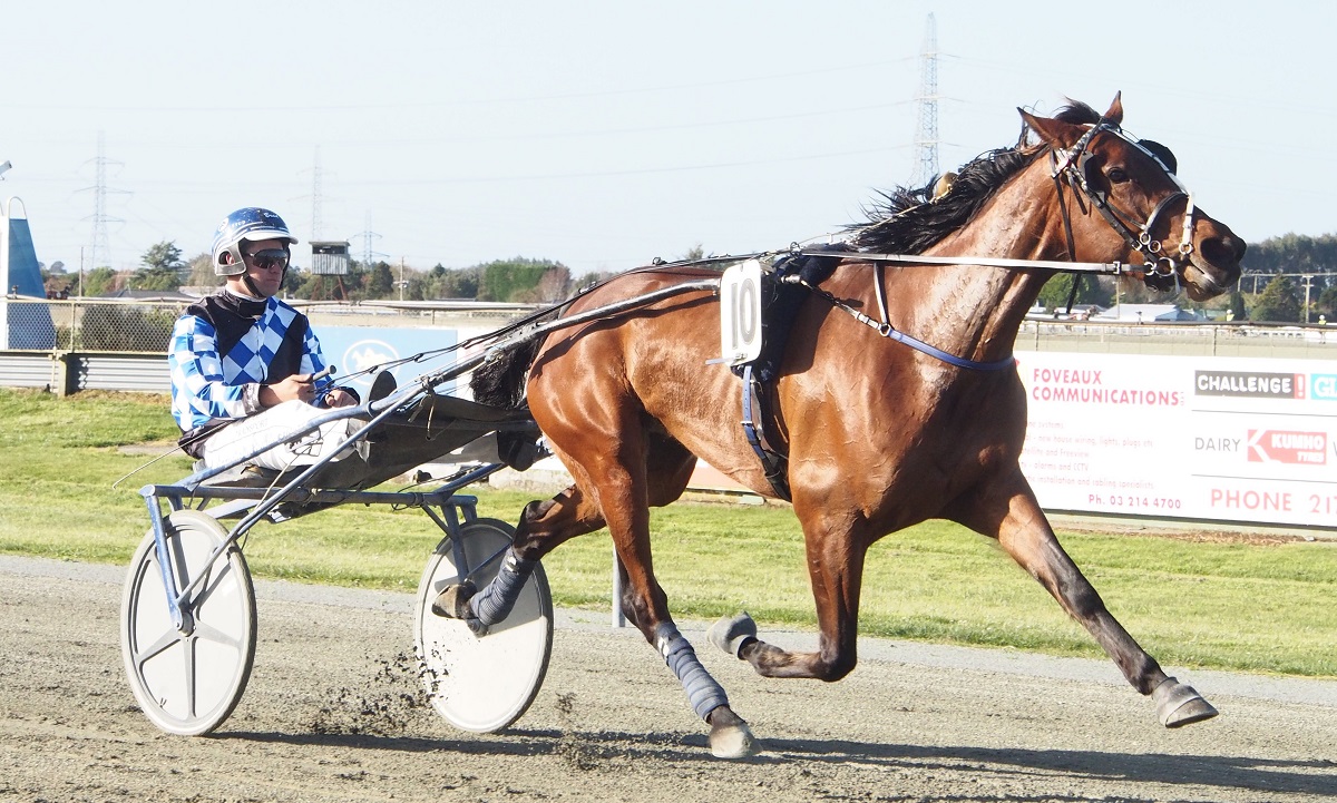 Brad chats Waikouaiti