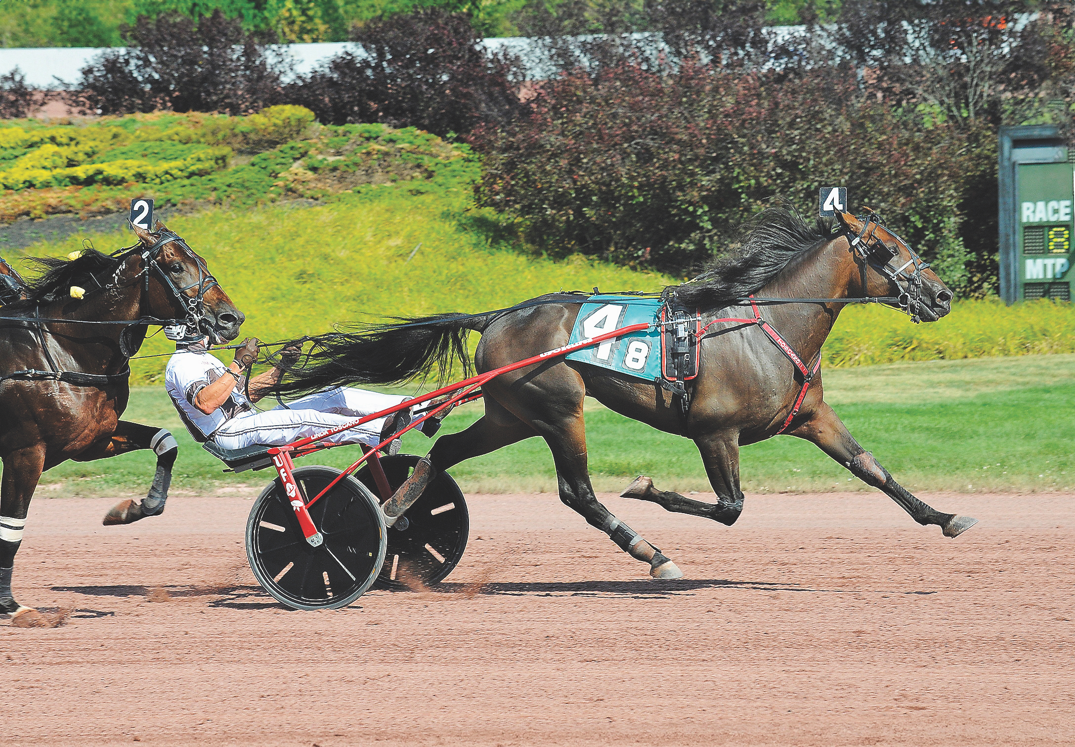 Molotov Cocktail joins Winbak Farm of Delaware