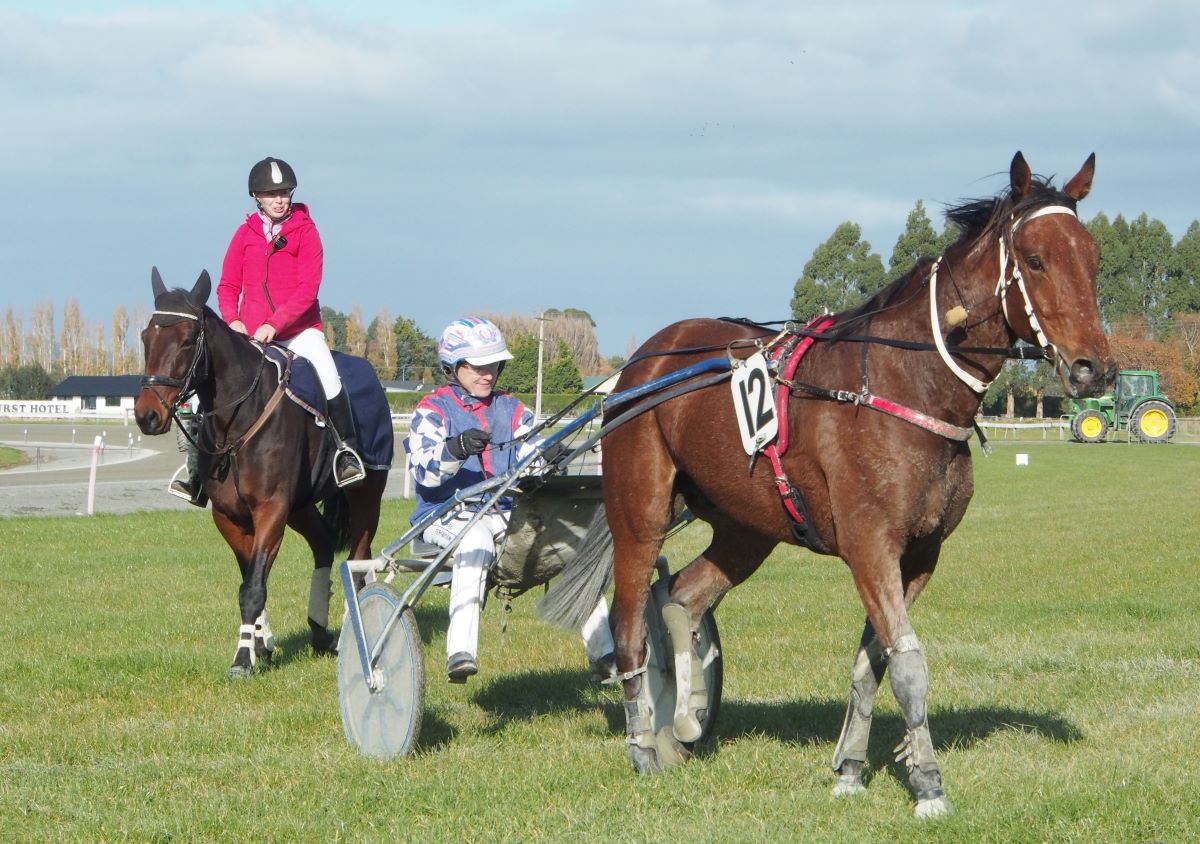 Hoffman and Douglas have strong chances at Cromwell