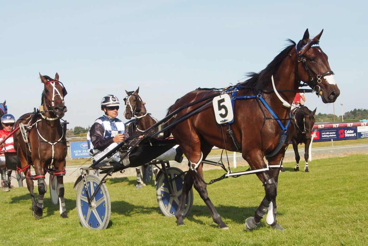 Telfer-Williams double