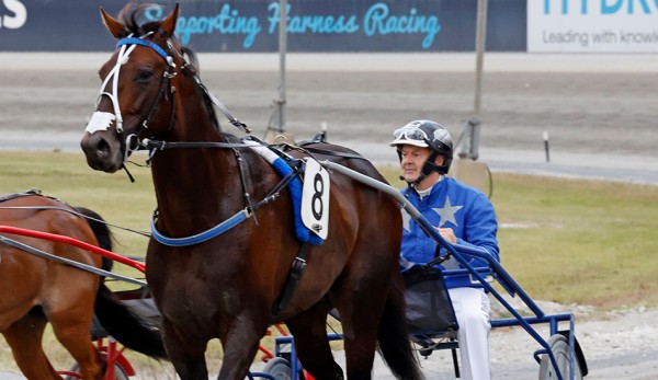 Oscar Bonavena is the 12th Australasian-bred trotting millionaire