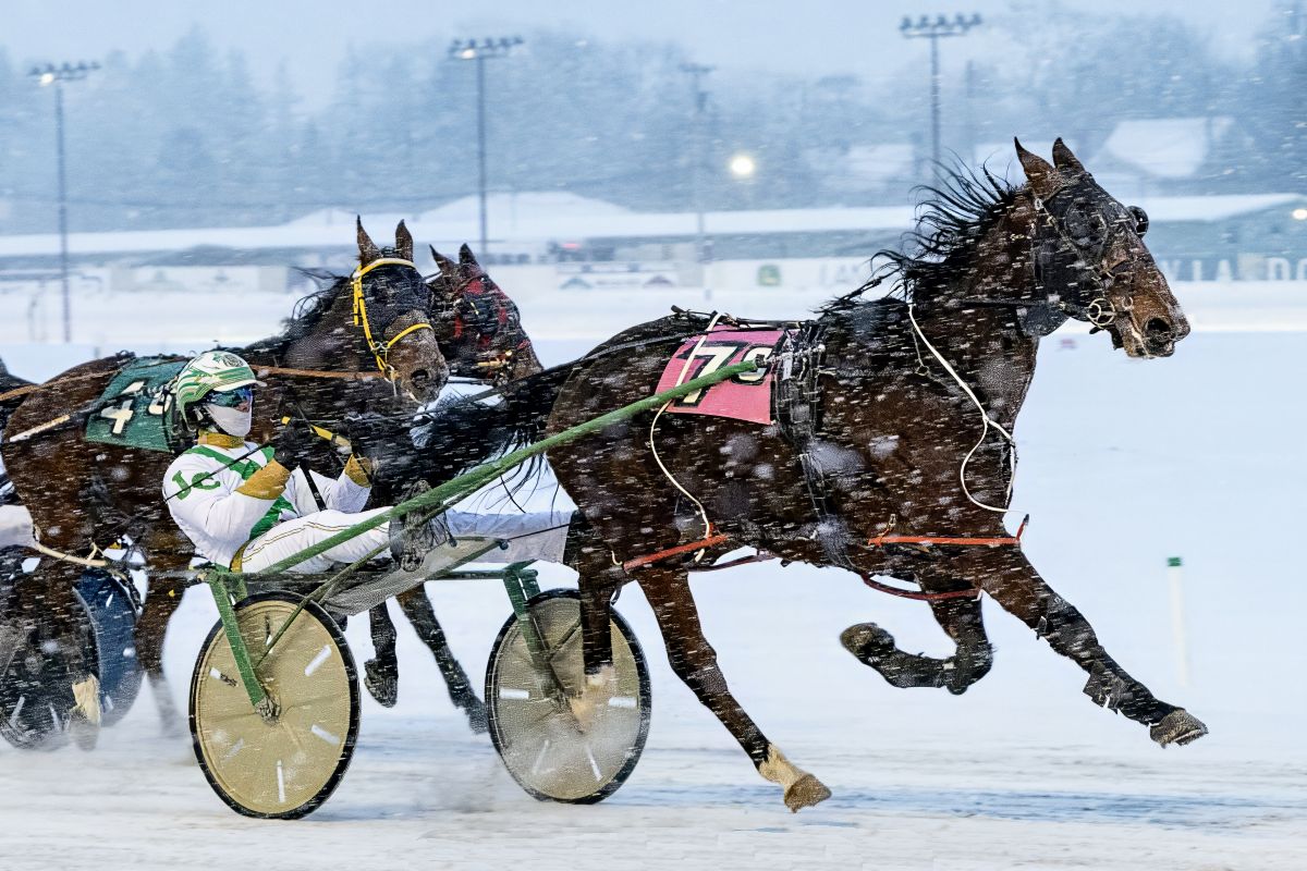 Primo Uomo the best man at Batavia