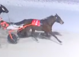 Bucktober back with Preferred win