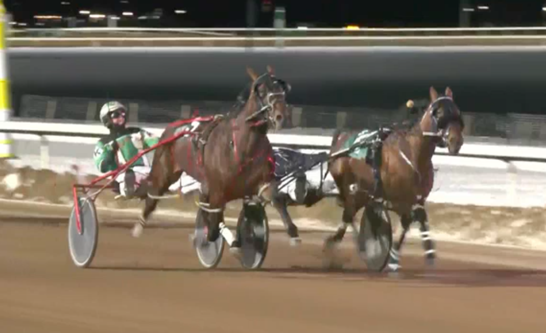 Fraser Preferred won last-to-first by a nose