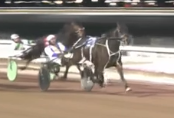 Electric Amadeus steps up, scores