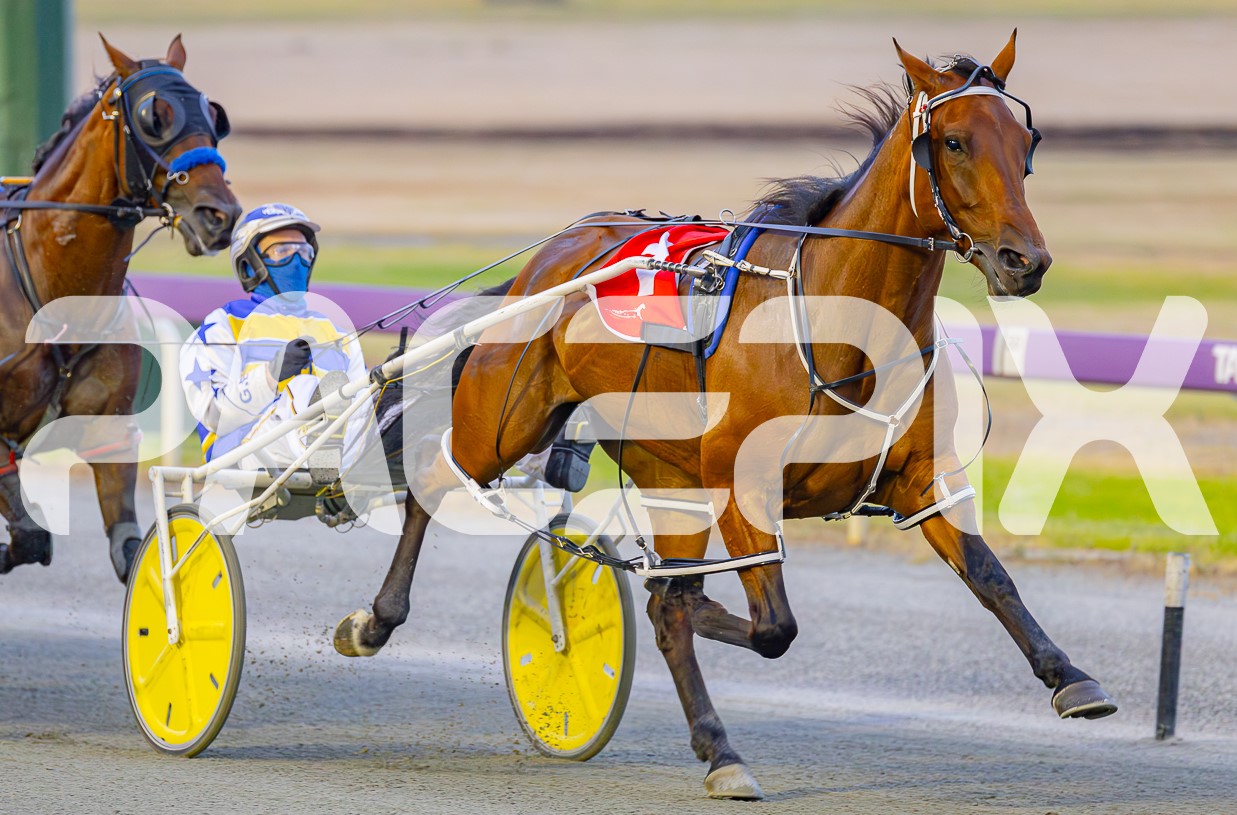 Spicey Major serves it up