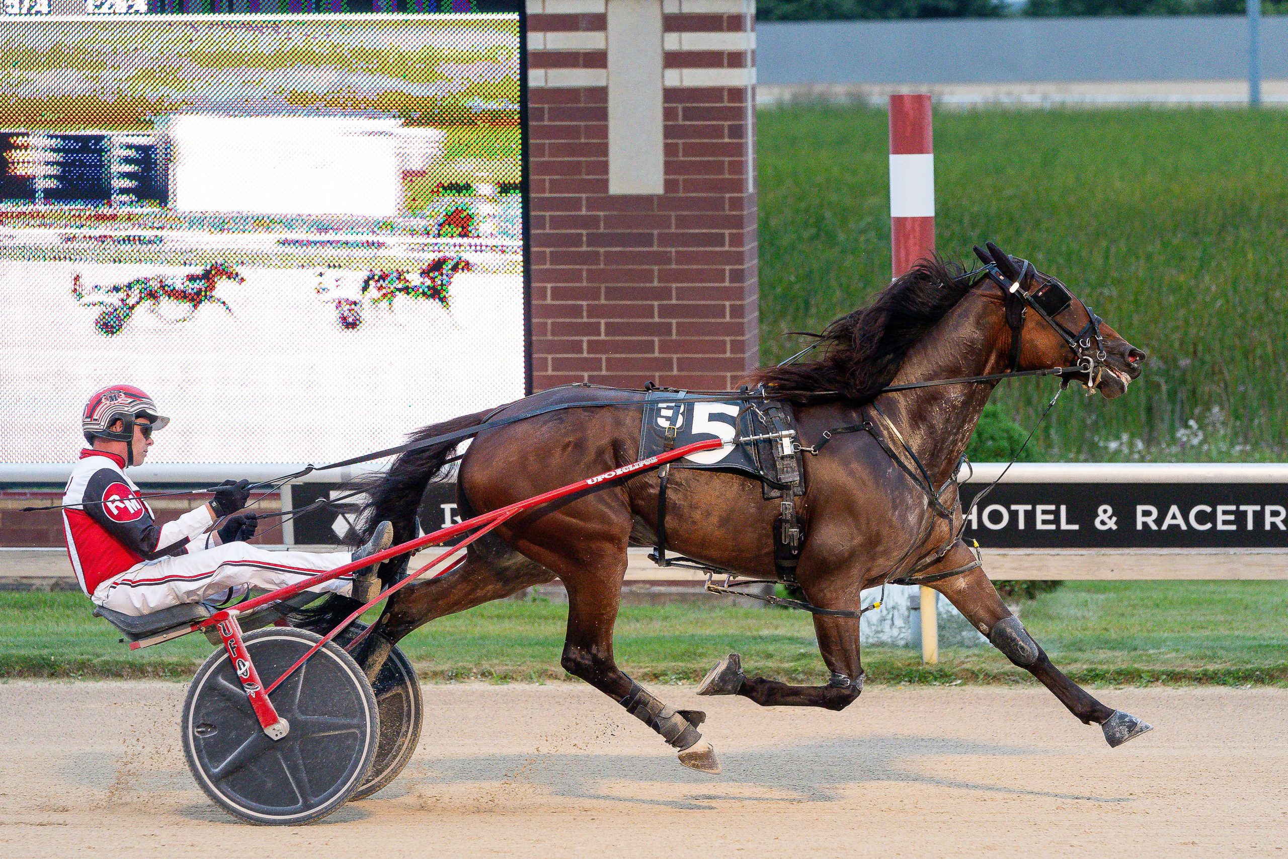 MHRI announces aged trotting award winners