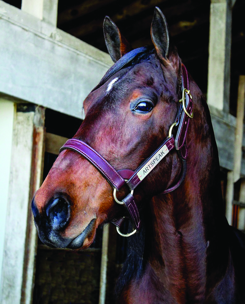 Artspeak moves to P.E.I.