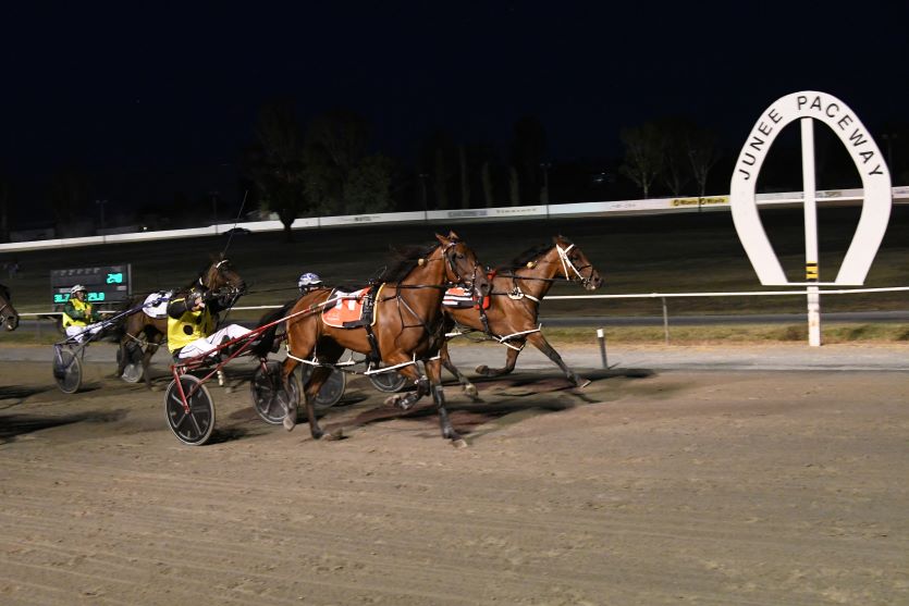 Dashing wins Junee Cup for Harpley