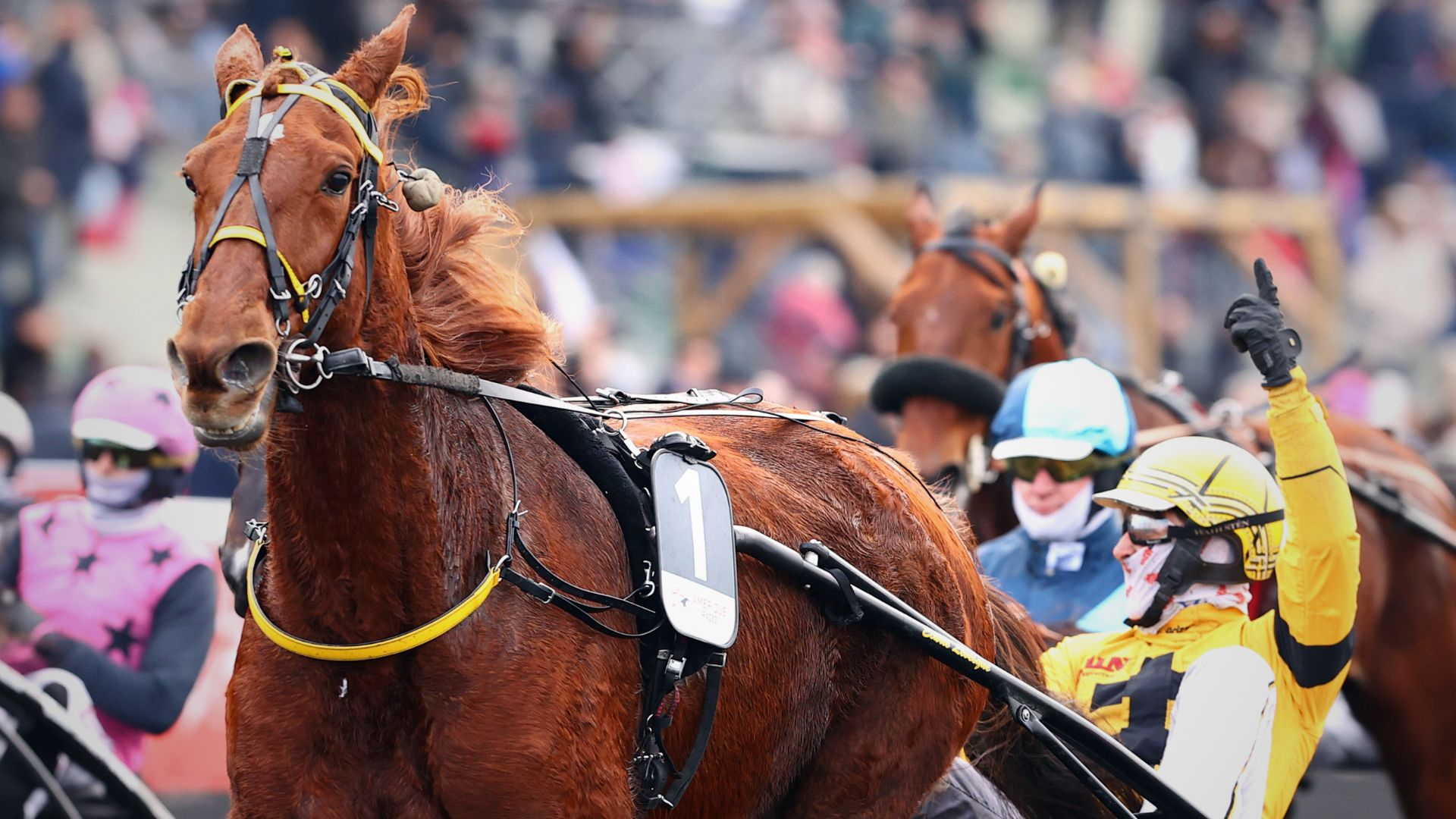 Iroise de la Noe takes Prix de Belgique